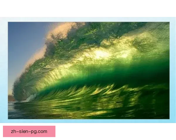 全球冲浪巨头集结!海浪风暴激荡,掀起新一轮极限挑战! 全球冲浪巨头集结!海浪风暴激荡,掀起新一轮极限挑战!