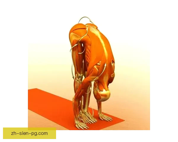 全面解析瑜伽教学视频技巧与窍门