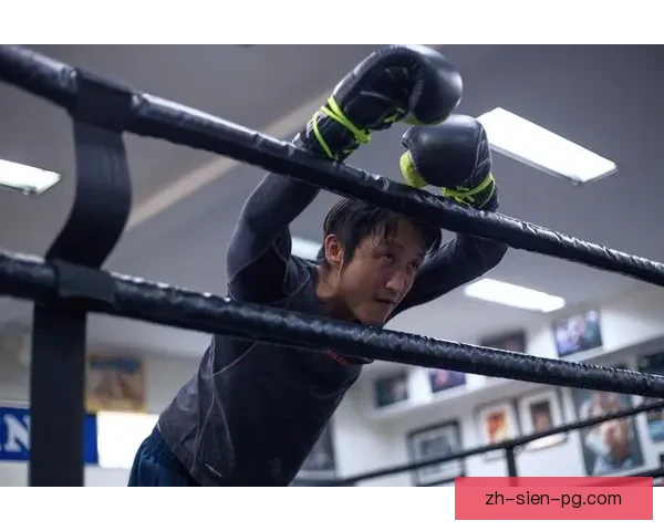 拳击技术大全：全面教学视频解析，提升拳击技能，轻松成为拳坛新宠